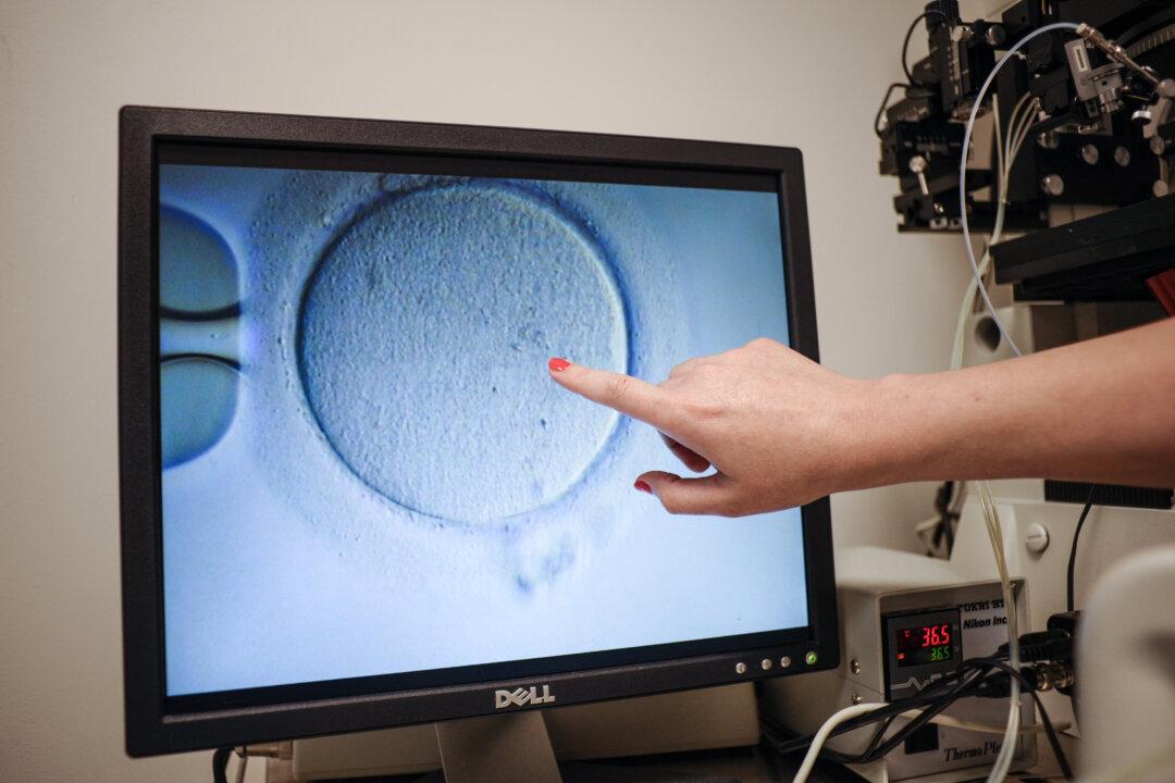 Alabama Supreme Court Declines to Revisit IVF Ruling