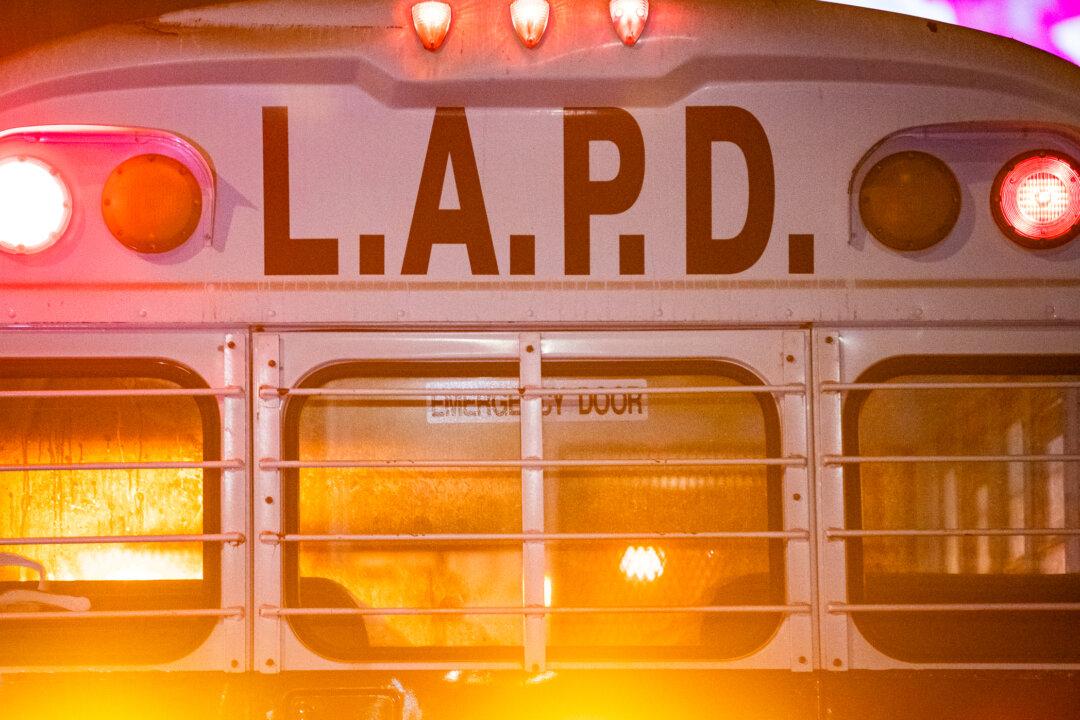 Suspect in Violent Rolex Robbery Arrested; Police Seek Other Victims