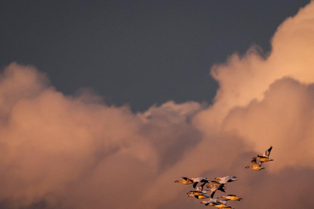 Permanent Daylight Time Shift Remains on Hold as Clocks Set to Move Ahead Sunday