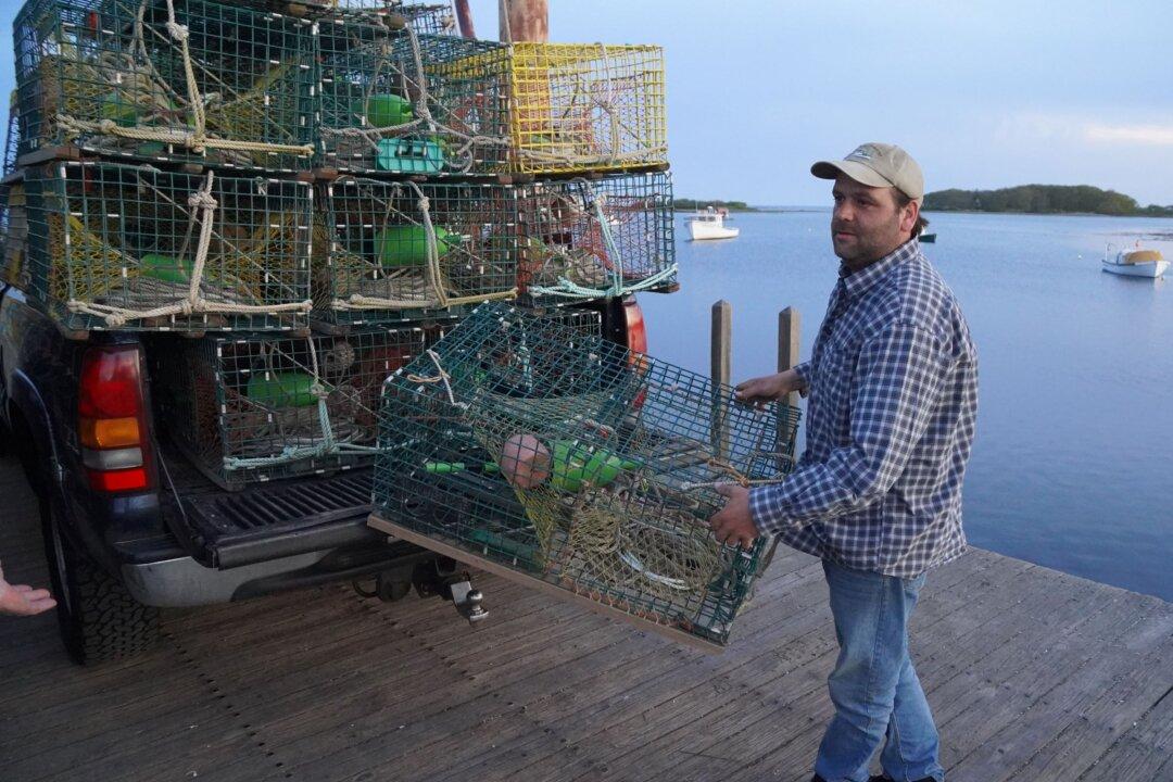Maine Lobstermen Square Off With Aquarium Over ‘False Statements’ Harming Sales