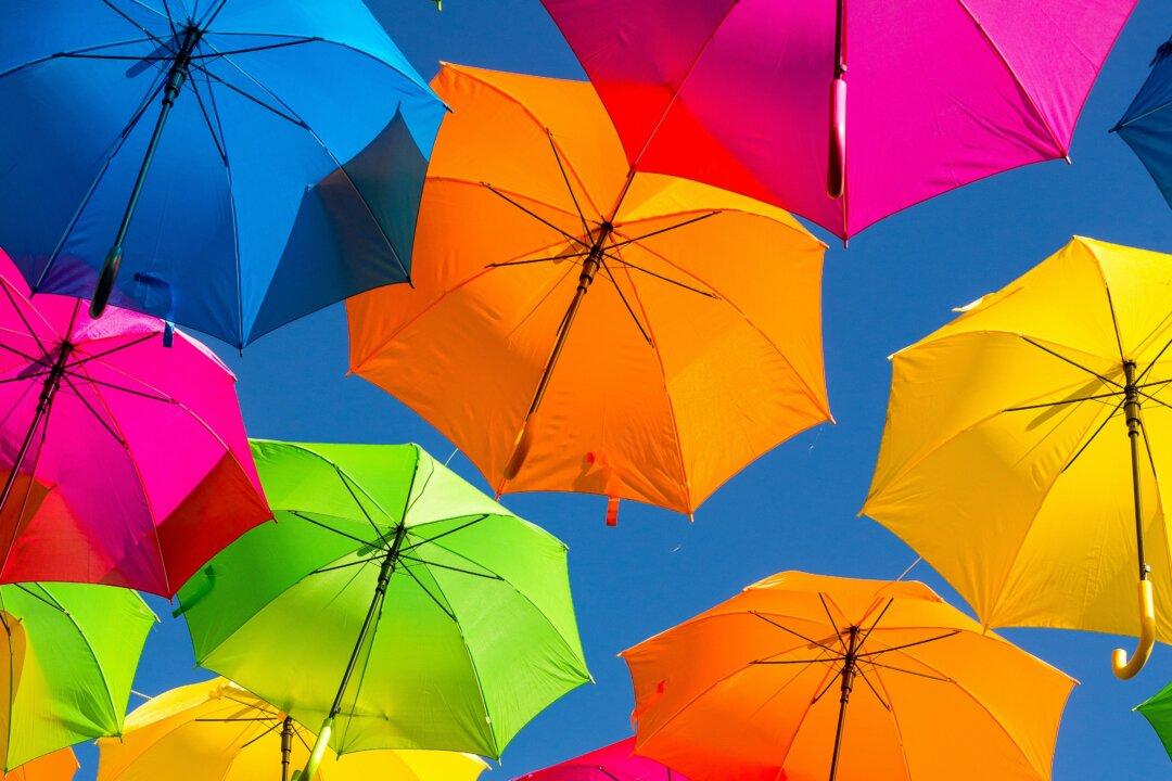 Under the Canopy: Celebrating National Umbrella Day