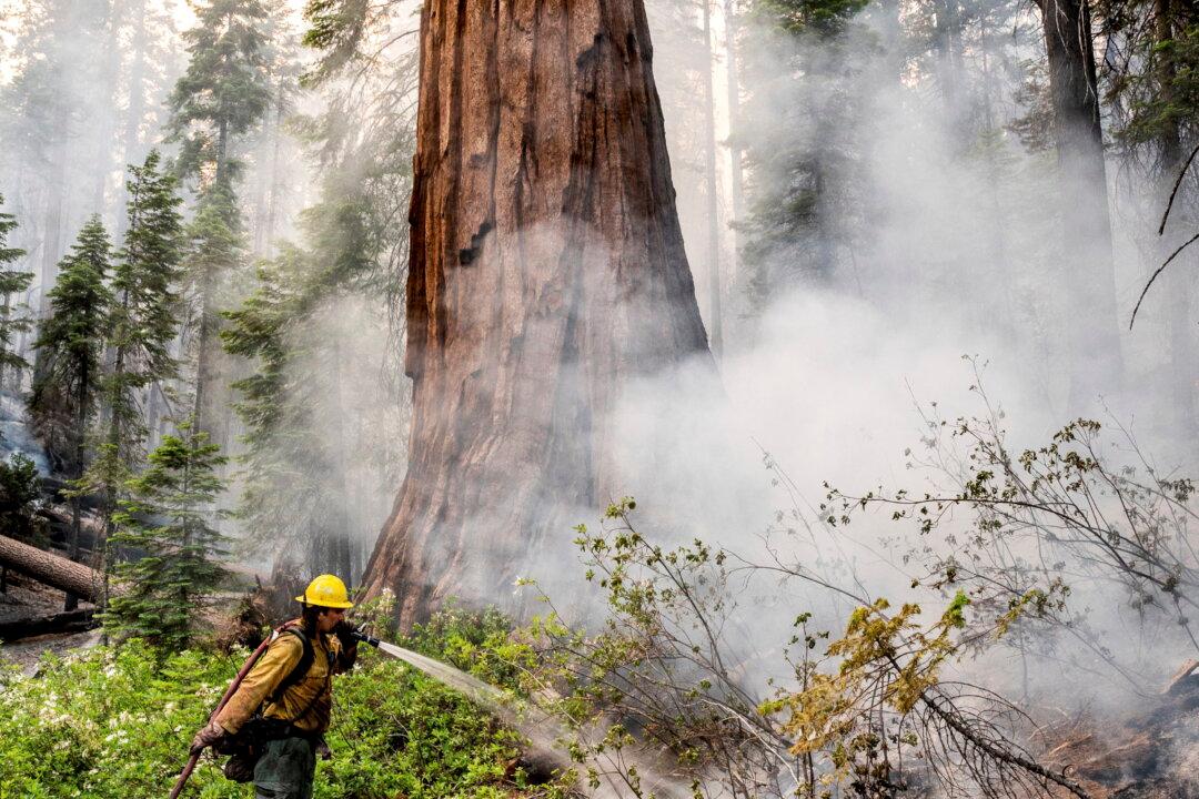 California Firefighters Gain Against Yosemite Wildfire