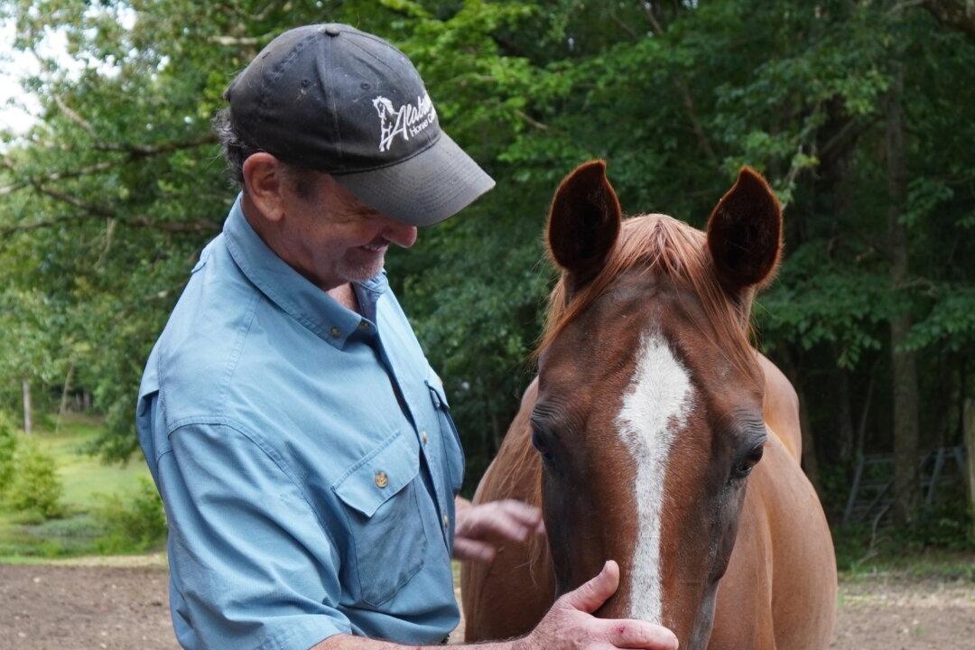 Compassion Ranch: Saving Animals and Strengthening Character in Youth