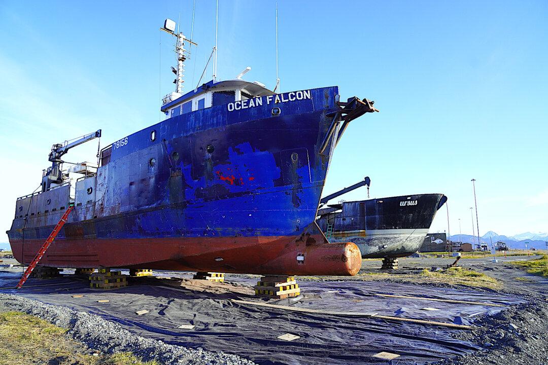 Alaska Fish and Game Announces Reopening of Red King Crab Harvest After Two-Year Closure