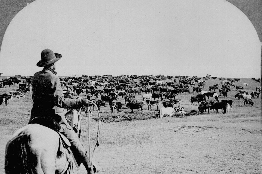 Why Are Republicans Greenhorns at Rounding Up Them Absentee Votes?