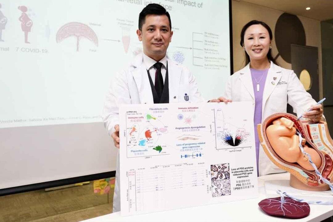 HKUST and CUHK Study: Infection With COVID-19 May Cause Complications in Late Pregnancy