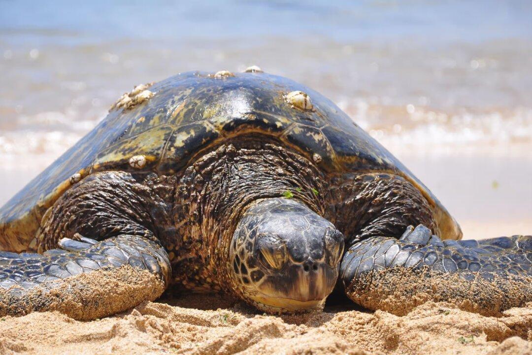 America’s Prolonged Economic Stagflation