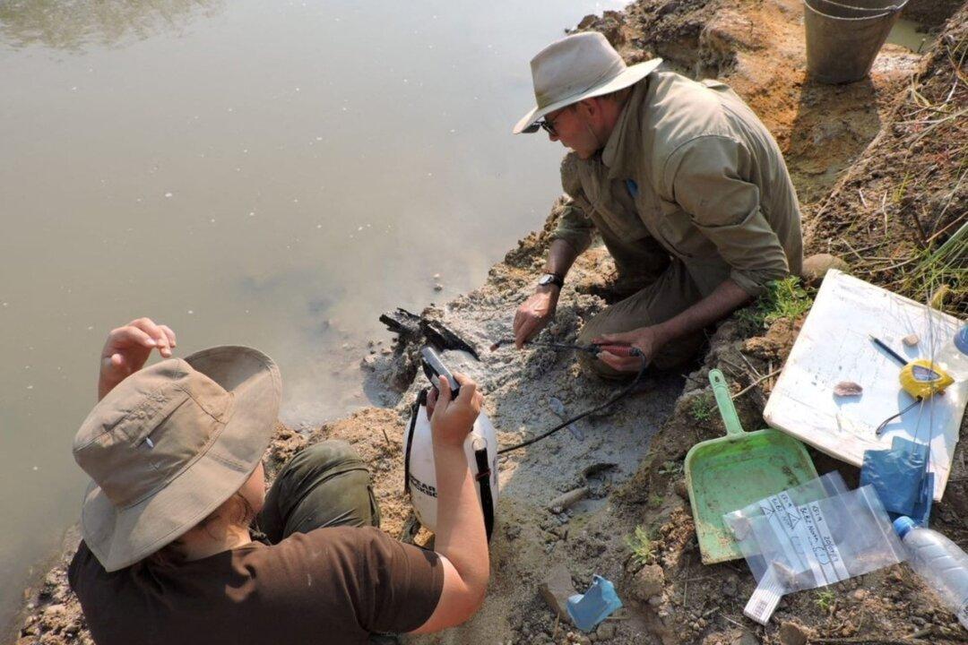 Zambia Find Shows Humans Have Built With Wood for 476,000 Years