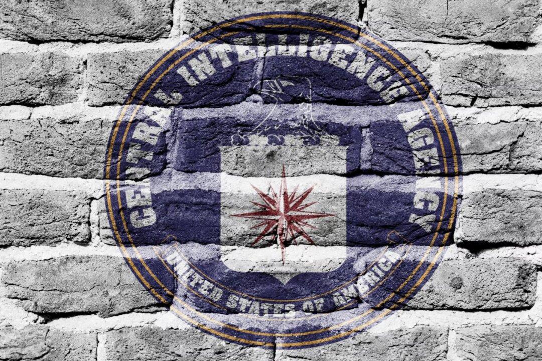 Who Really Runs America?