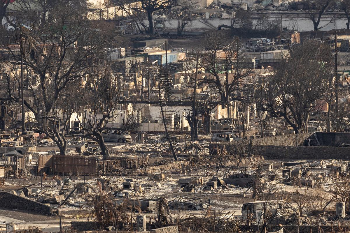 Maui Wildfire Survivors Camp on Beach in Bid to Push Mayor to Resolve Housing Crisis