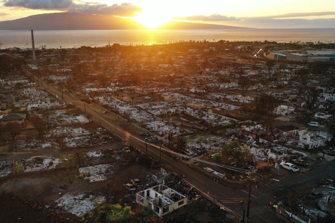 Housing for Maui Fire Survivors Delayed by Red Tape