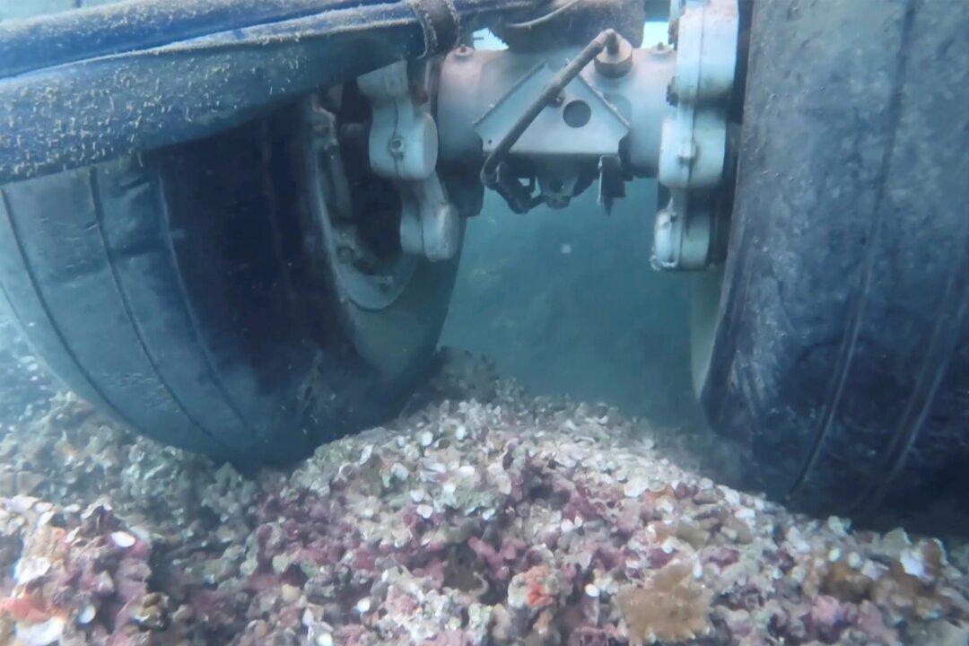 US Navy Plane Went Into Hawaii Bay; Underwater Video Shows Its Tires Are Touching Coral Reef