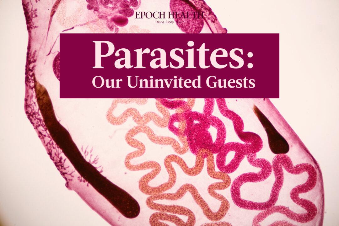 Parasites: Our Uninvited Guests