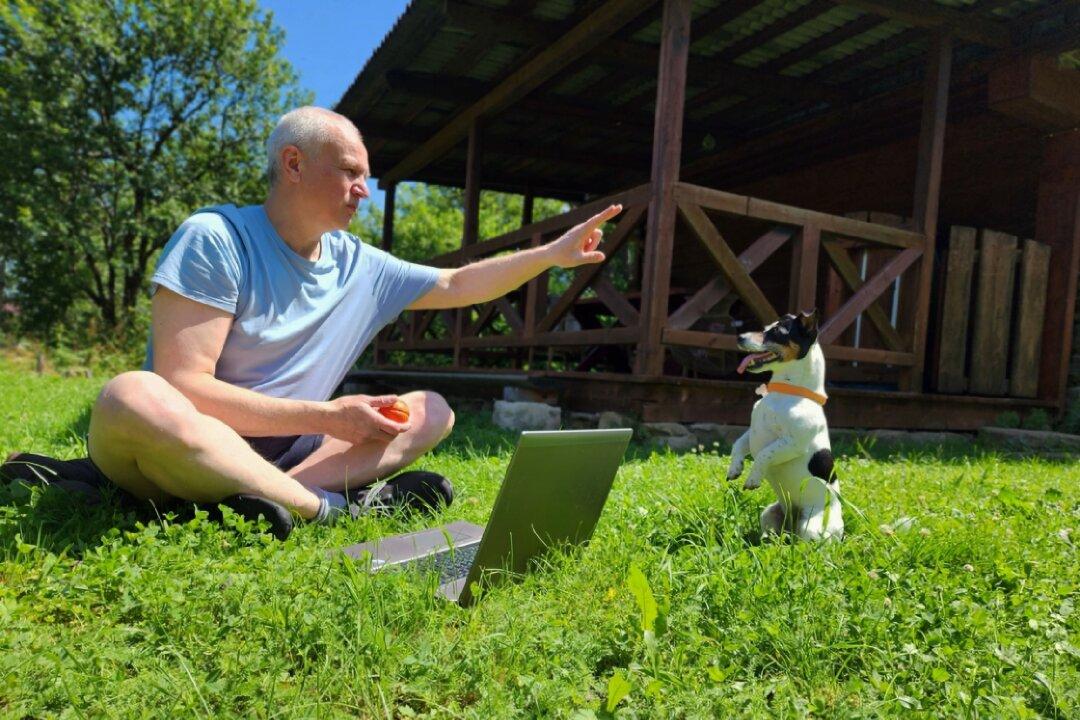 The Father Started an ‘Immediate Passive Income’ Side Hustle That Earns up to $7,000 a Month: ‘Let the Money Roll In’