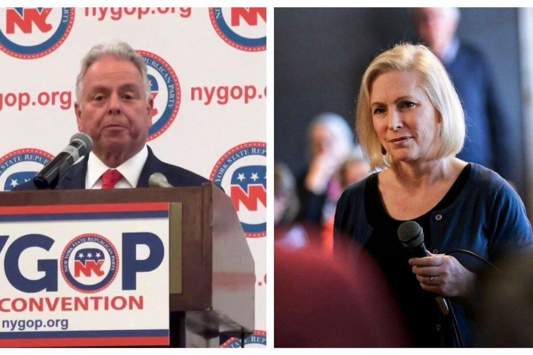 GOP US Senate Hopefuls Squabble in Court Over NY Primary Election Requirements
