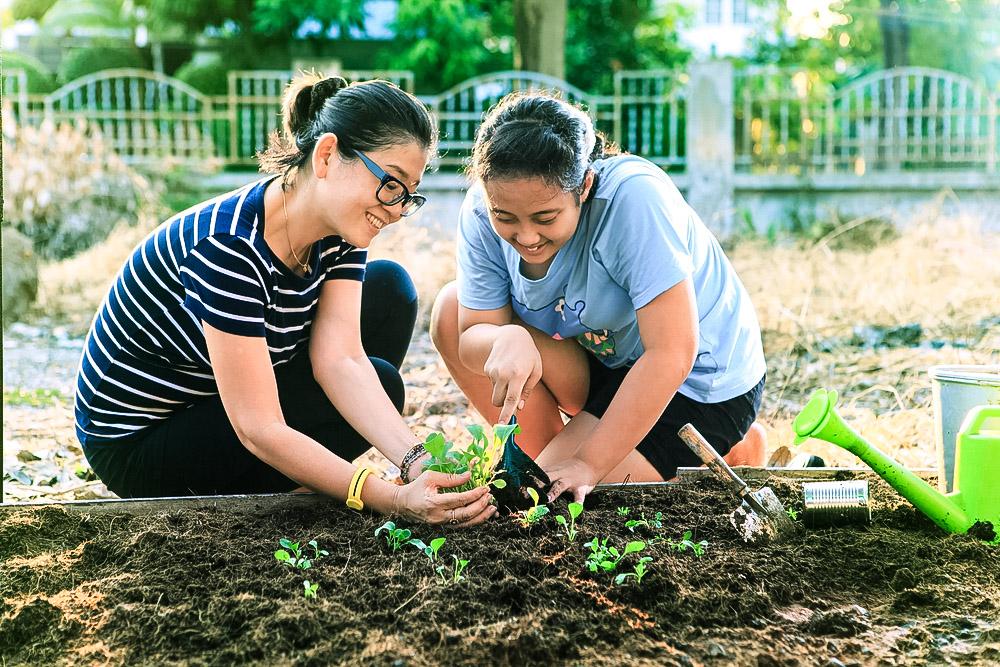 Ready, Set, Spring! The Best Garden Vegetables for an Early Start