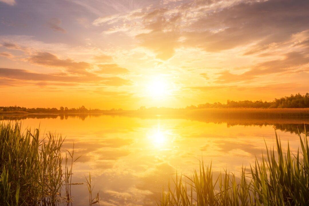 Seasonal Delights: The Writing of Summer