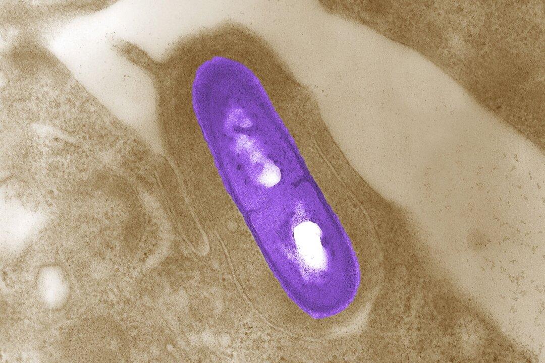 Death Toll From Multistate Listeria Outbreak Related to Deli Meats Rises to 9: CDC