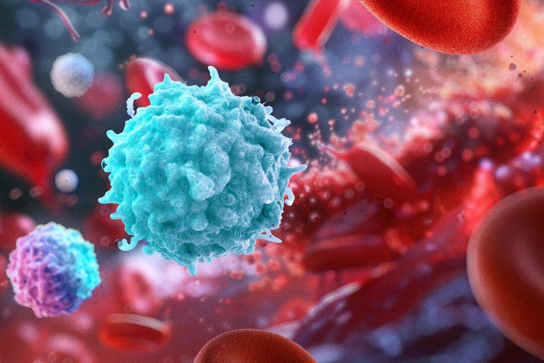 Identifying the Factors That Can Affect Your Immune System