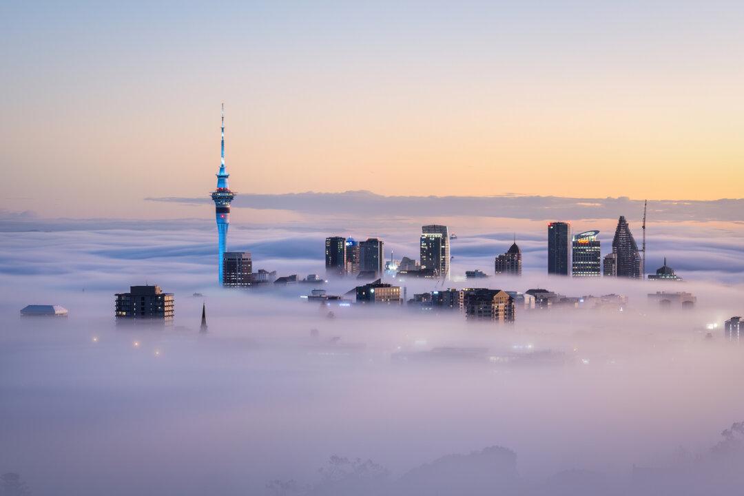 24 Hours in Auckland