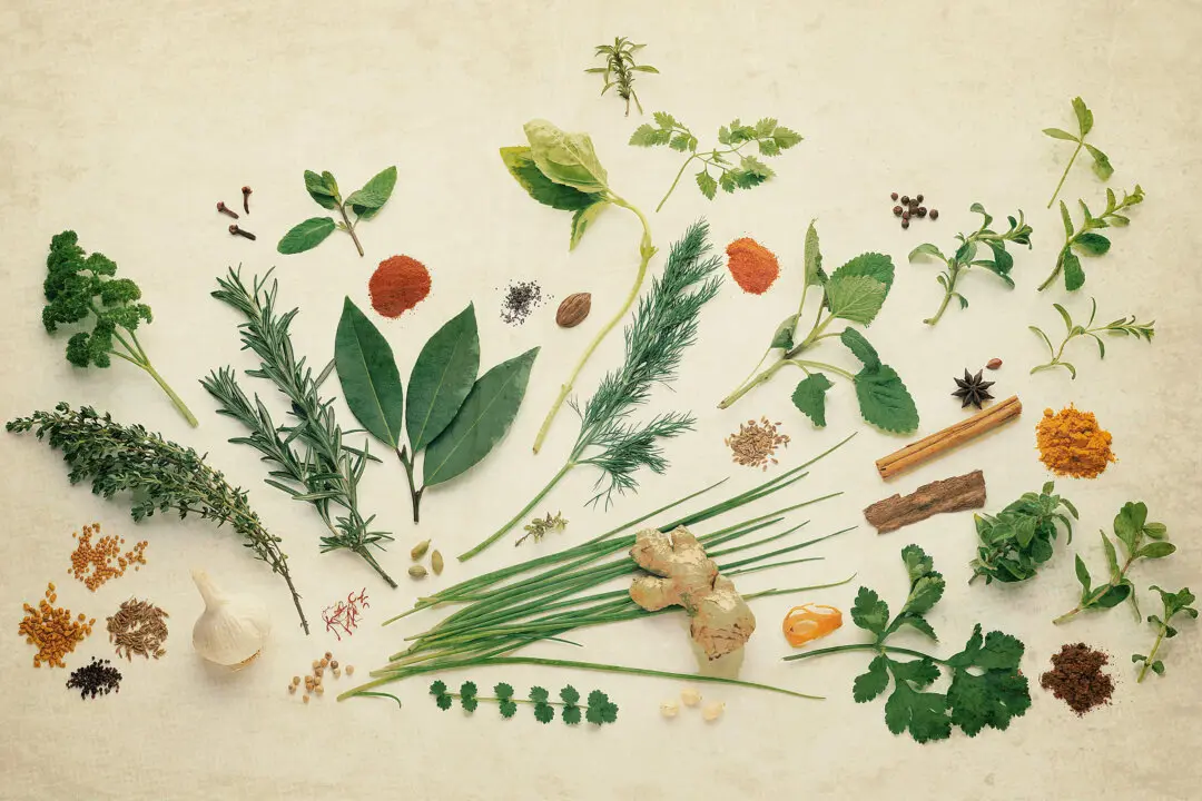 8 Things to Know About Herbs Before Using Them