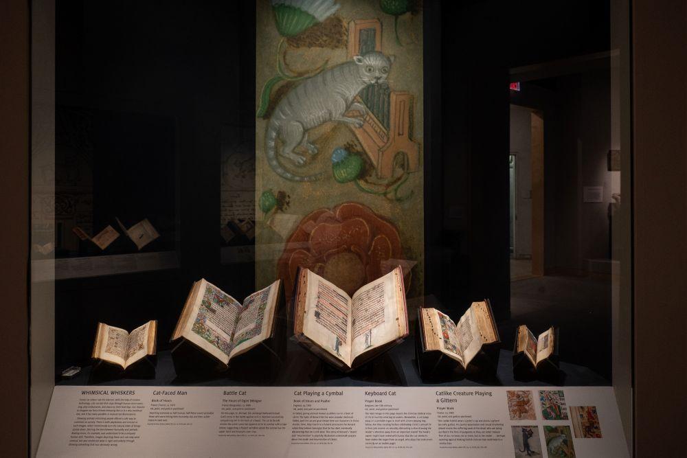 Medieval Feline Fascination