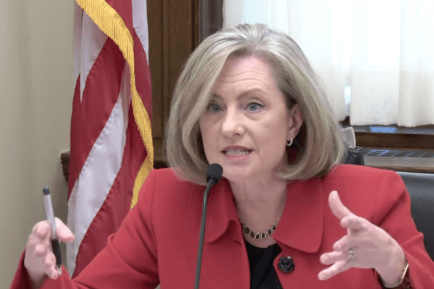 More Fraud Prosecutors Needed in Minnesota, State Lawmaker Tells Senators