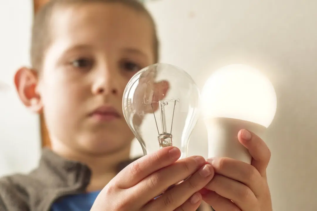 Energy-Saving Secrets: 23 Easy Ways to Save Big Bucks Year-Round