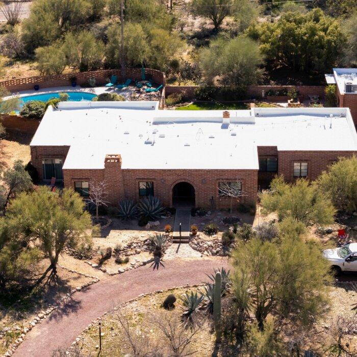 Savannah Guthrie Pleads for Public Help; Judge Blocks California ICE Law | NTD Good Morning (Feb. 10)