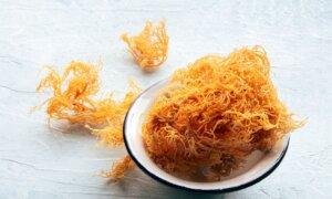 Sea Moss–Trending Now for Brain Health and Weight-Loss to Virility