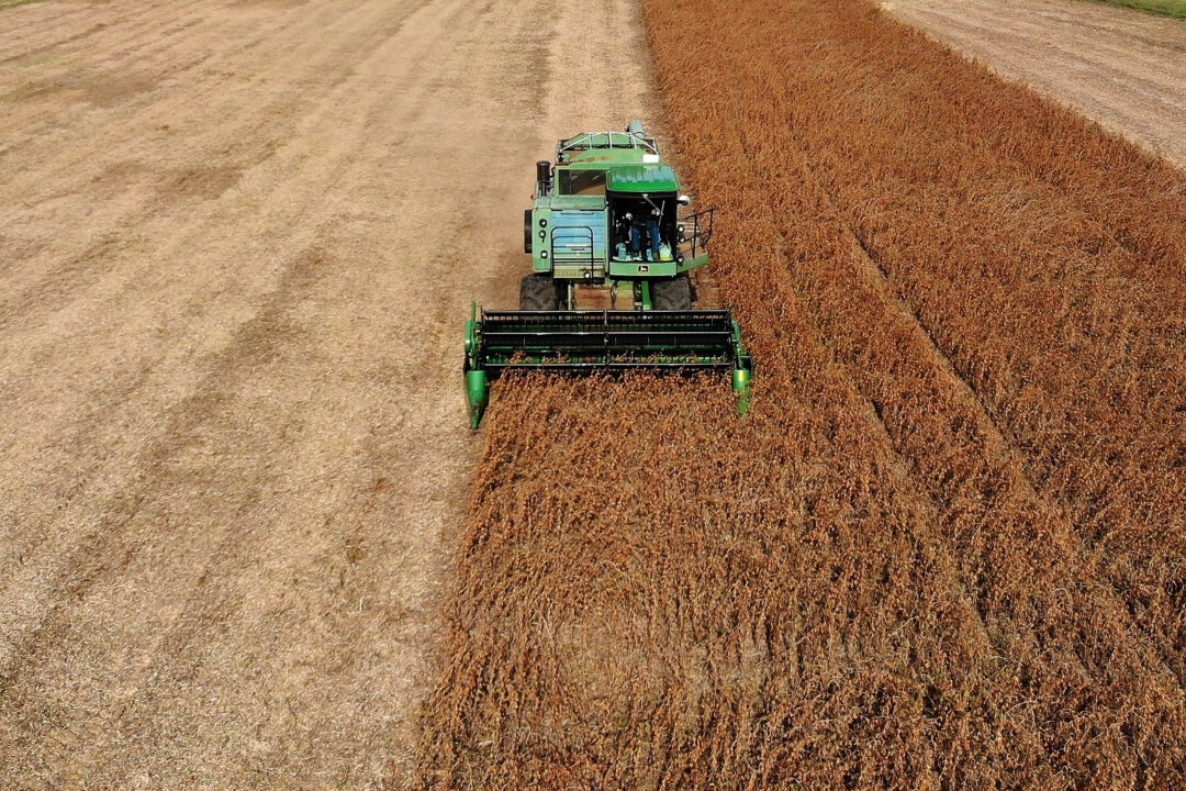 Trump Wants China to Quadruple US Soybean Orders