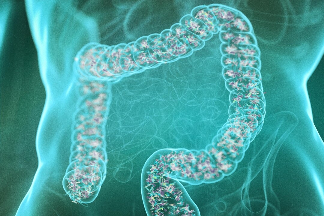 The Stress–Gut Connection: Why Anxiety Fuels Weight Gain and How to Break the Cycle