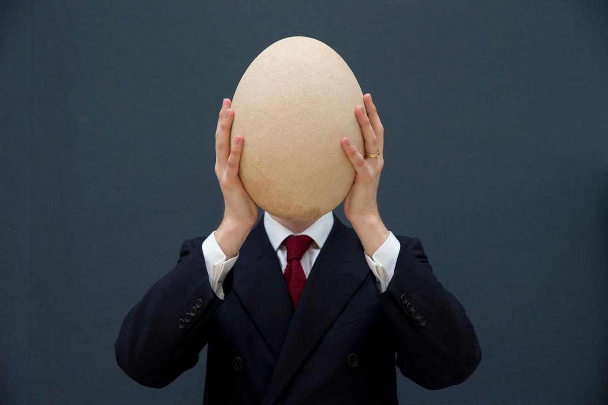 Huge Egg: $101,813 Sale at UK Auction (+Photos)