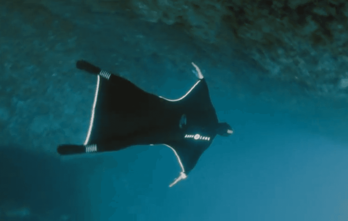 ‘Fly’ Under Water Wetsuit Gives ‘Human Flight Experience’ (+Video)