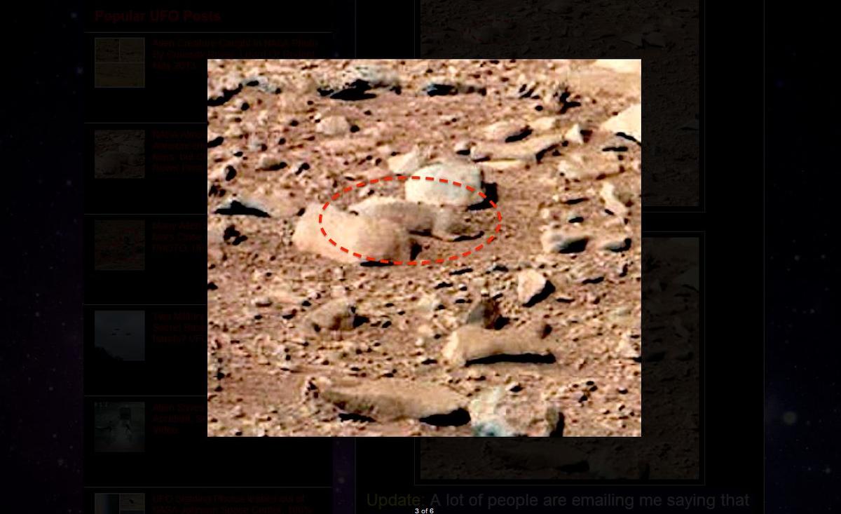 Mars Rat: Website Claims Rodent on Red Planet