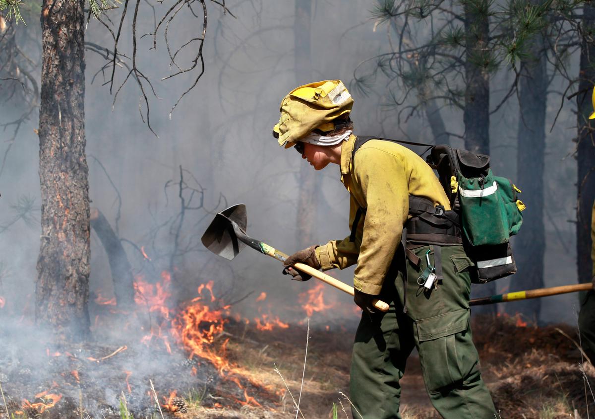 California Plans to Sue Federal Government for ‘Dismantling of AmeriCorps’