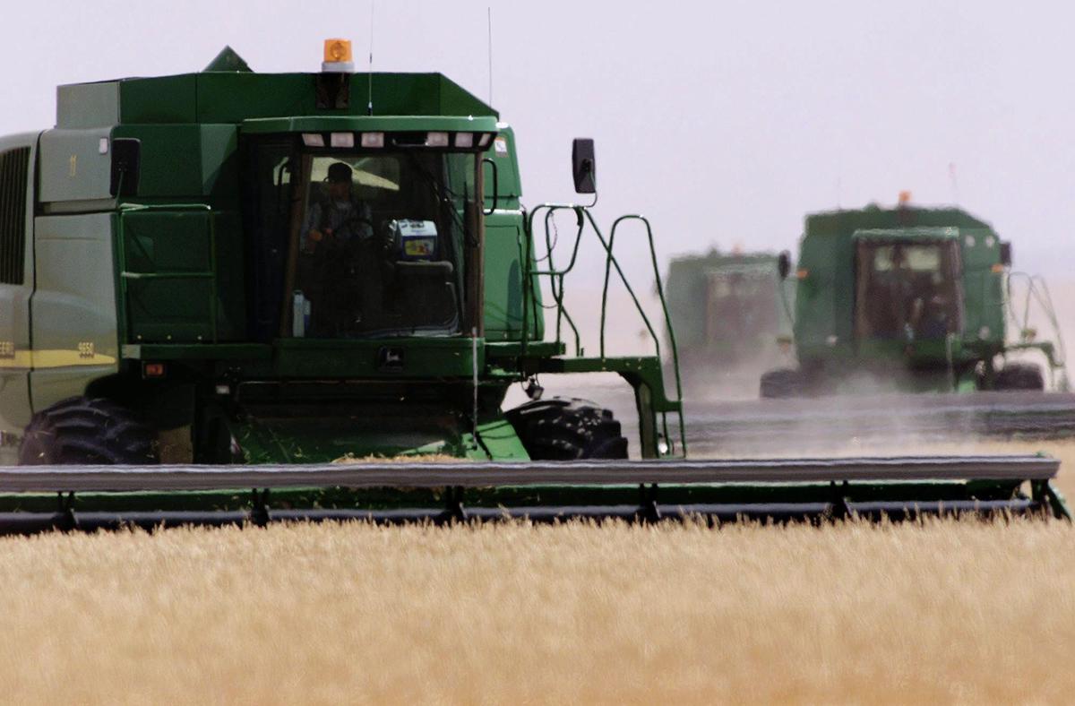 Oregon GM Wheat Contamination Could Have Ramifications for Canada