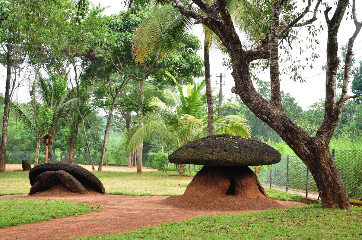 Megalithic Umbrella Stone Burial Site in India (Photos)