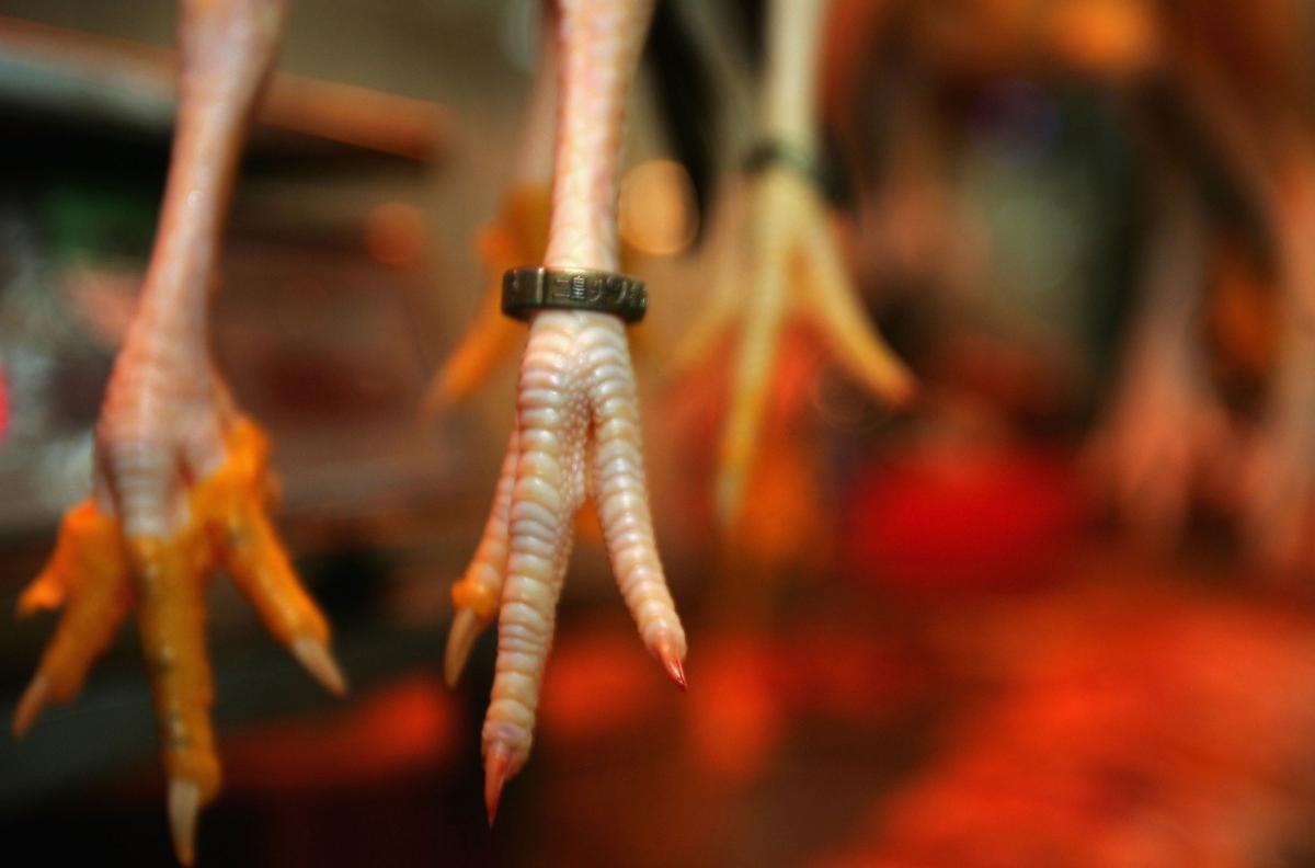 Forty-Six-Year-Old Chicken Feet Sold in Chinese Markets