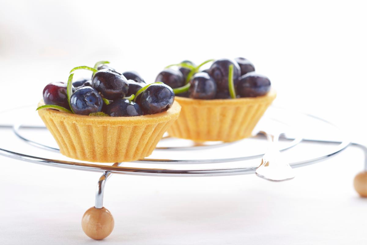 Wild Blueberry Treats