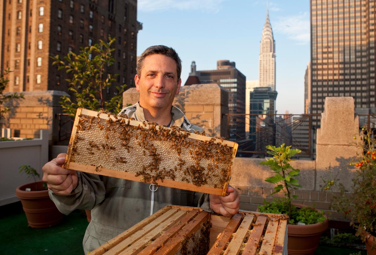 This is New York: Andrew Coté, Urban Beekeeper 