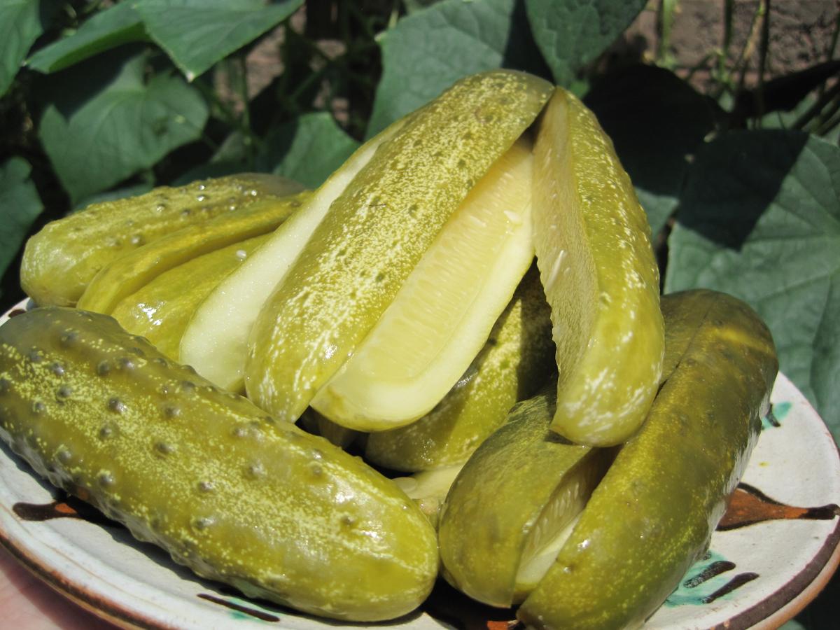 Summer Pickled Cucumbers: A Romanian Traditional Recipe