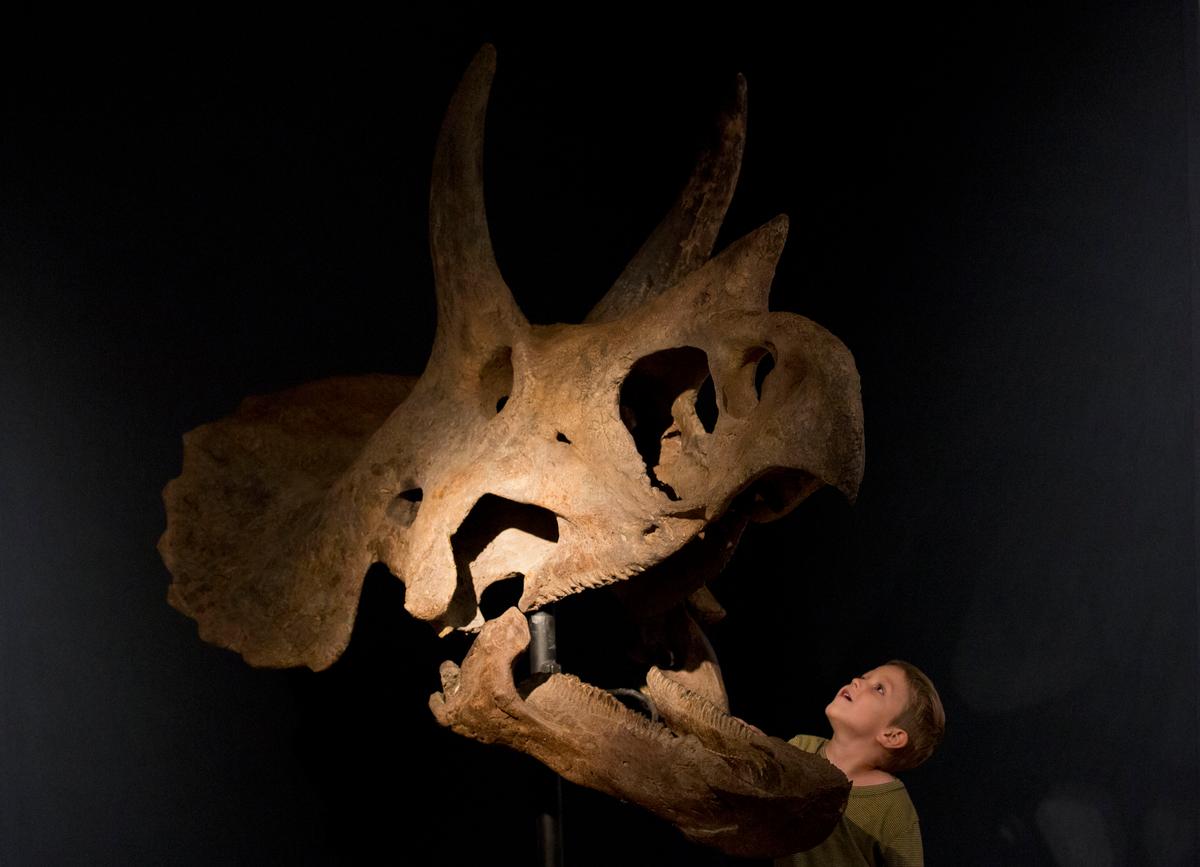 Francis Bacon’s Brushes Among Oddities in Auction 