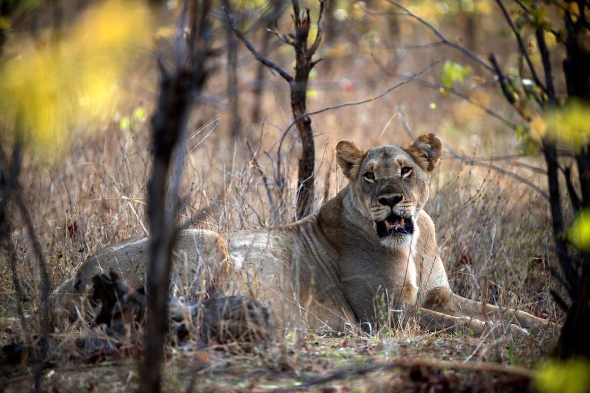 Our World in 7 Headlines: Sept. 19
