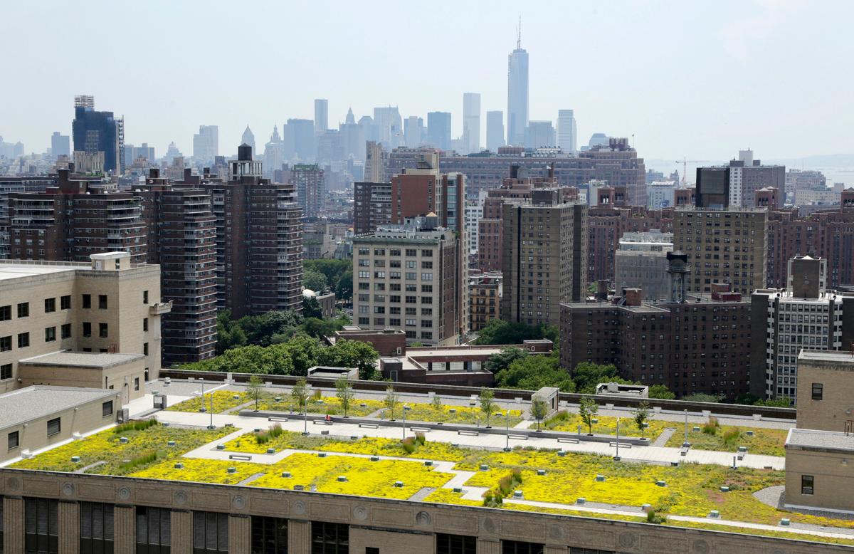 Midtown East Rezoning Enters Final Phase Amid Objections