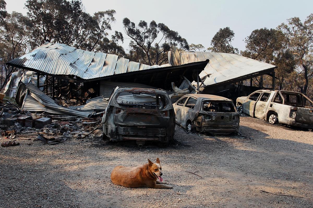 Wild Bushfires Likely to Continue Through Australian Summer