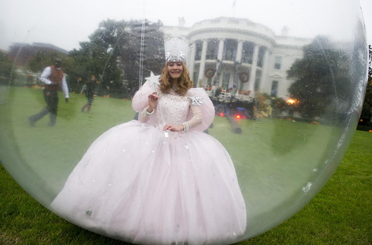 Photos of the Day - November 2013