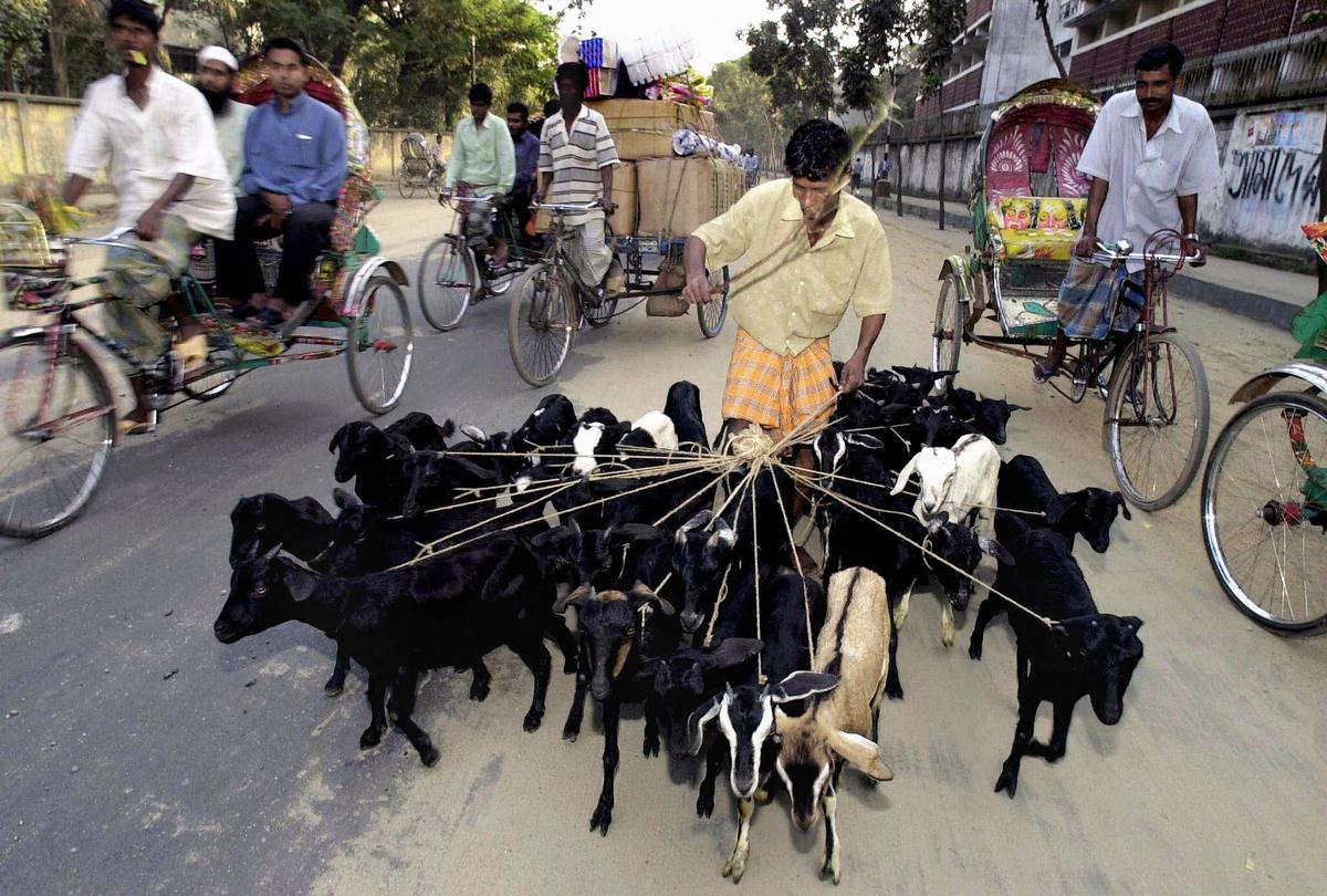 Our World in 7 Headlines: Oct. 14