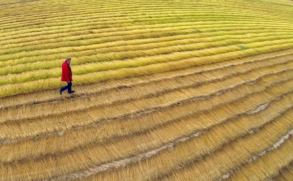 Our World in 7 Headlines: Oct. 13