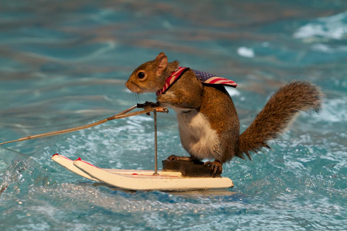 Ben & Jerry’s Releases the Ron Burgundy Scotchy Scotch Scotch Ice Cream